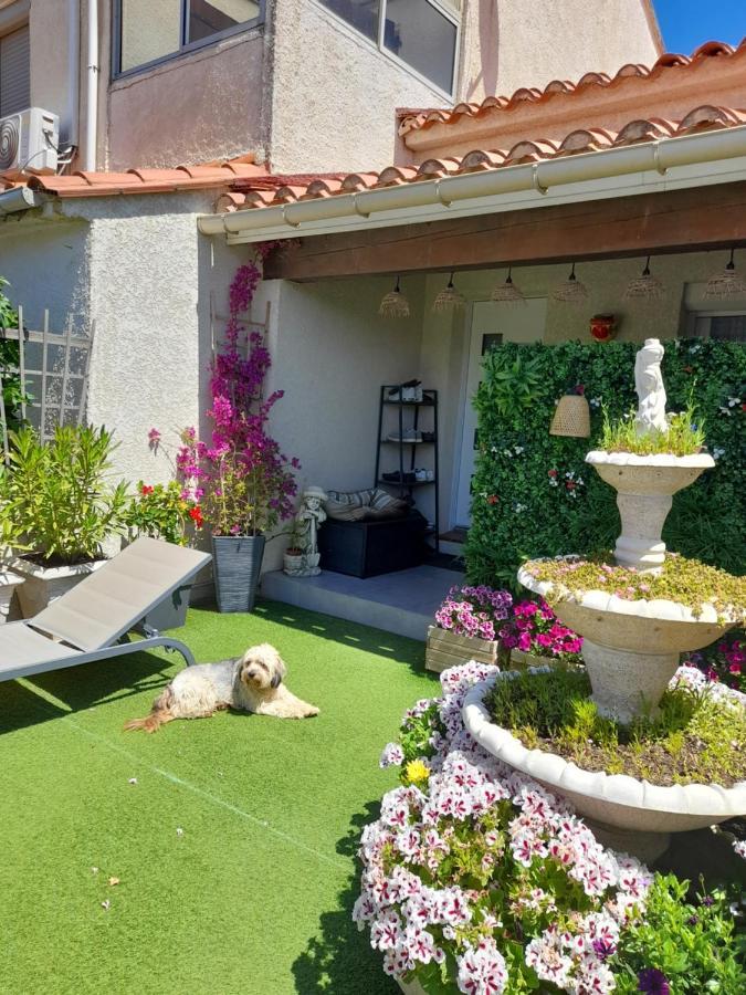 Apartmán Les Pieds Dans L'Eau Sainte-Marie-la-Mer Exteriér fotografie